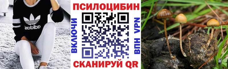 Купить  Корсаков  Псилоцибиновые грибы Magic Shrooms 
